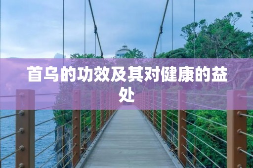 首乌的功效及其对健康的益处 首乌的功效及其对健康的益处