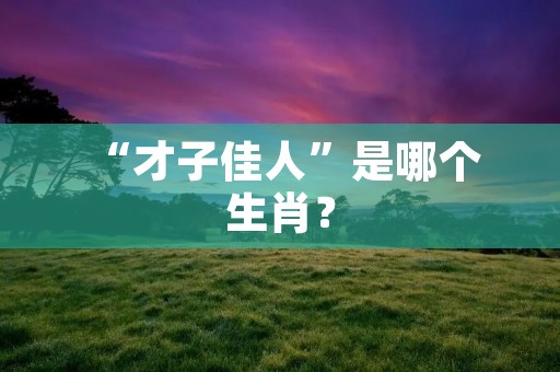  “才子佳人”是哪个生肖？