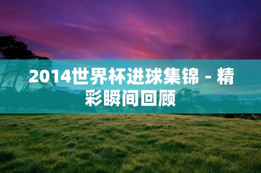 2014世界杯进球集锦 - 精彩瞬间回顾