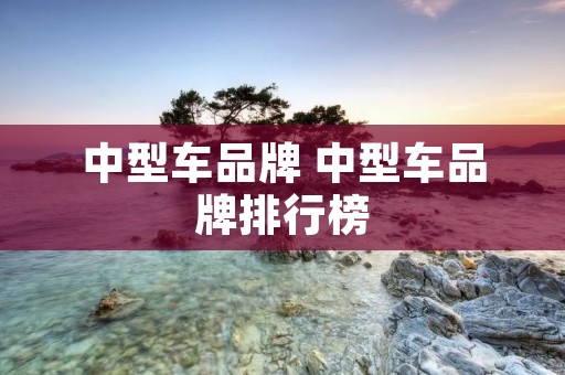 中型车品牌 中型车品牌排行榜