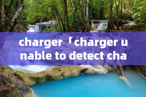 charger「charger unable to detect charger」