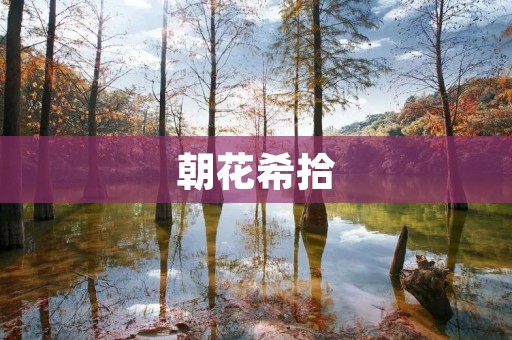 朝花希拾:拾光拾影,寻找人生意义 朝花希拾:拾光拾影,寻找人生意义