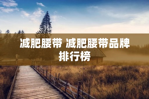 减肥腰带 减肥腰带品牌排行榜