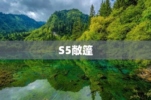 S5敞篷：感受阳光与风的自由之旅