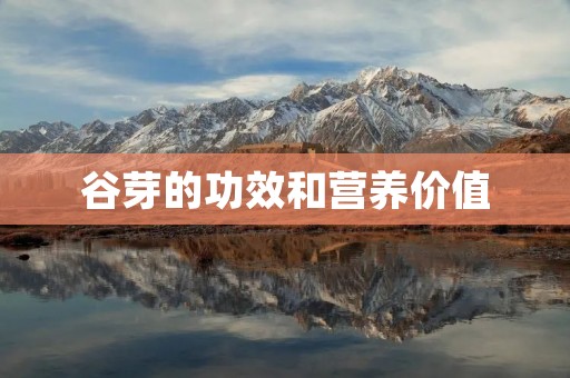 谷芽的功效和营养价值