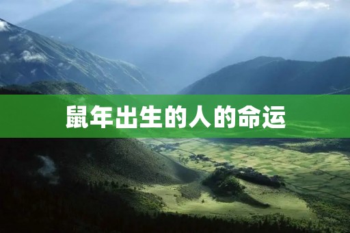 鼠年出生的人的命运