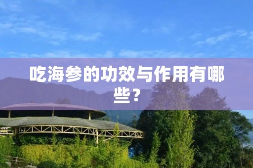 吃海参的功效与作用有哪些？
