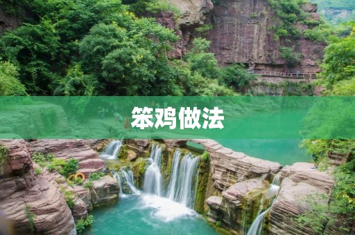 笨鸡做法：让你轻松学会烹饪美味的笨鸡