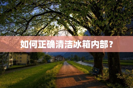 如何正确清洁冰箱内部？
