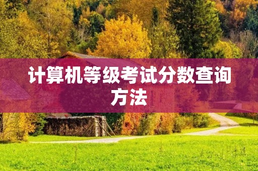计算机等级考试分数查询方法