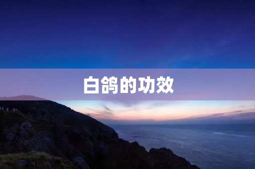 白鸽的功效：让你拥有健康美丽的身体