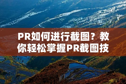 PR如何进行截图?教你轻松掌握PR截图技巧! PR如何进行截图?教你轻松掌握PR截图技巧!