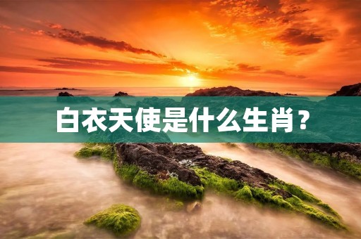 白衣天使是什么生肖?