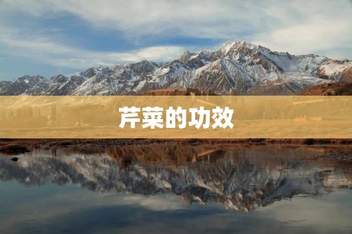 芹菜的功效:从降压到抗癌全面解析 芹菜的功效:从降压到抗癌全面解析
