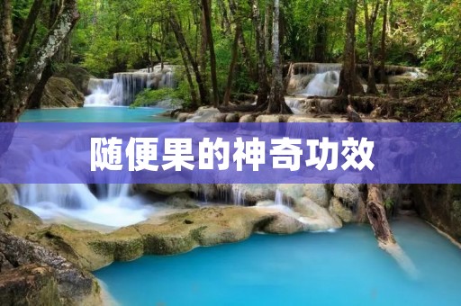 随便果的神奇功效