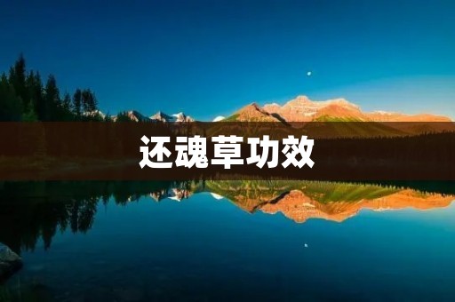 还魂草功效：神奇的草药能否真正让人还魂？