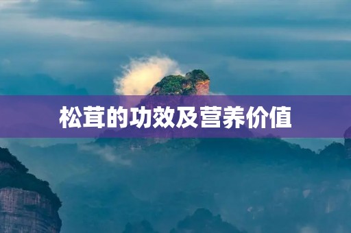 松茸的功效及营养价值