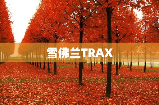 雪佛兰TRAX：小型SUV新品牌