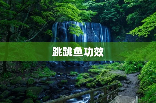 跳跳鱼功效：让你远离亚健康的好帮手