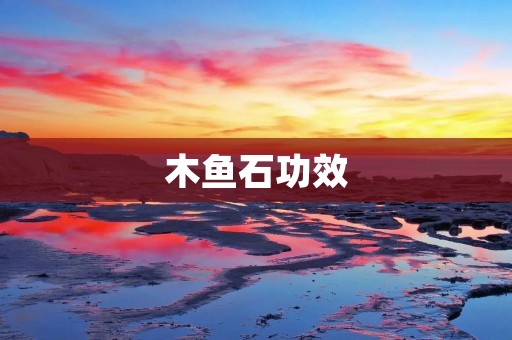 木鱼石功效:祛痰止咳、清热解毒、镇痛止痒 木鱼石功效:祛痰止咳、清热解毒、镇痛止痒