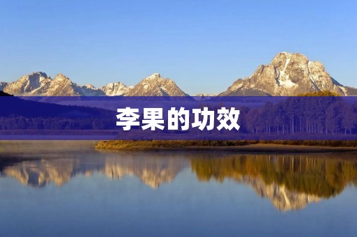 李果的功效：保健养生的不二之选