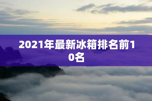 2021年最新冰箱排名前10名