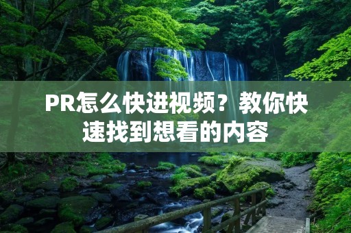 PR怎么快进视频?教你快速找到想看的内容 PR怎么快进视频?教你快速找到想看的内容