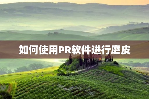 如何使用PR软件进行磨皮