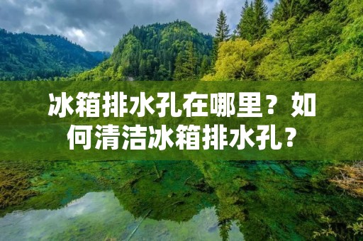 冰箱排水孔在哪里?如何清洁冰箱排水孔? 冰箱排水孔在哪里?如何清洁冰箱排水孔?