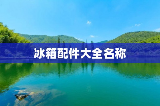 冰箱配件大全名称