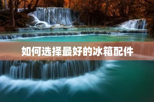 如何选择最好的冰箱配件