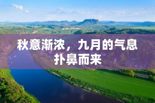秋意渐浓,九月的气息扑鼻而来