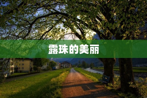 露珠的美丽