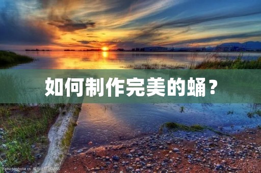 如何制作完美的蛹? 如何制作完美的蛹?