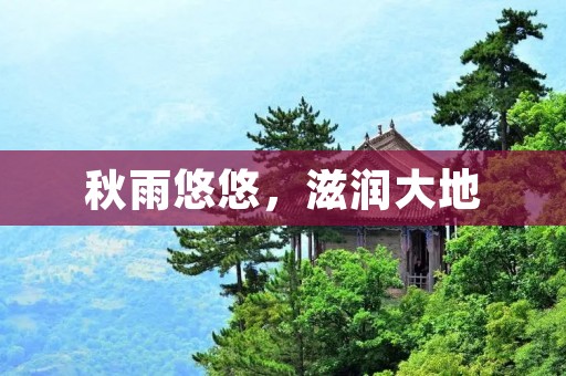 秋雨悠悠,滋润大地