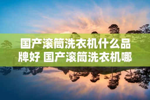 国产滚筒洗衣机什么品牌好 国产滚筒洗衣机哪个牌子的好