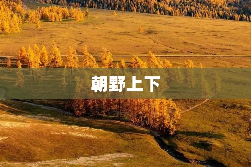 朝野上下:政治斗争的背后 朝野上下:政治斗争的背后