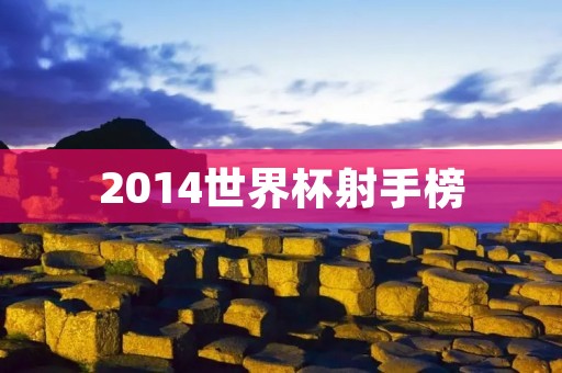 2014世界杯射手榜：C罗夺得金靴
