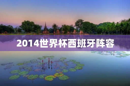 2014世界杯西班牙阵容：重返巅峰的神之队