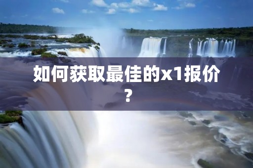 如何获取最佳的x1报价？
