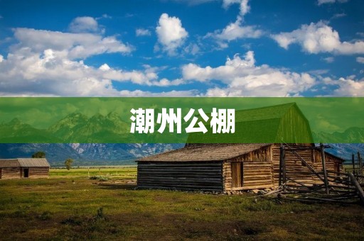 潮州公棚:赛鸽飞翔的乐园 潮州公棚:赛鸽飞翔的乐园