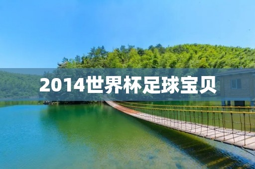 2014世界杯足球宝贝：美艳热辣的球场风景线
