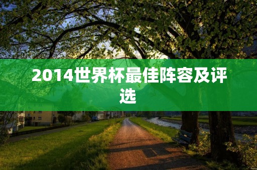 2014世界杯最佳阵容及评选 2014世界杯最佳阵容及评选