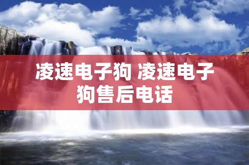 凌速电子狗 凌速电子狗售后电话