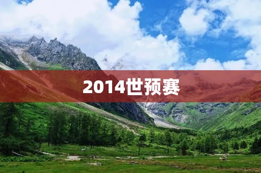 2014世预赛:中国足球的失落与反思 2014世预赛:中国足球的失落与反思