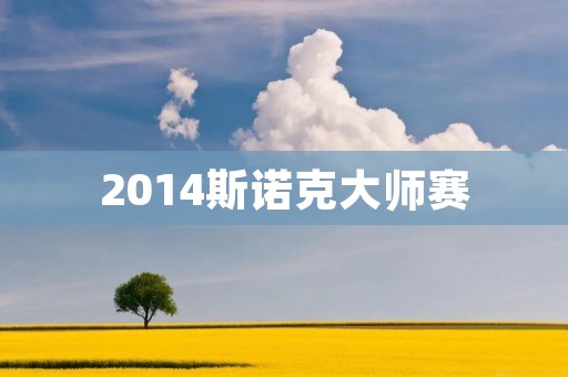 2014斯诺克**赛：世界顶级选手的较量