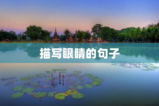 描写眼睛的句子