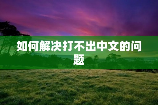 如何解决打不出中文的问题 如何解决打不出中文的问题