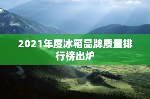 2021年度冰箱品牌质量排行榜出炉