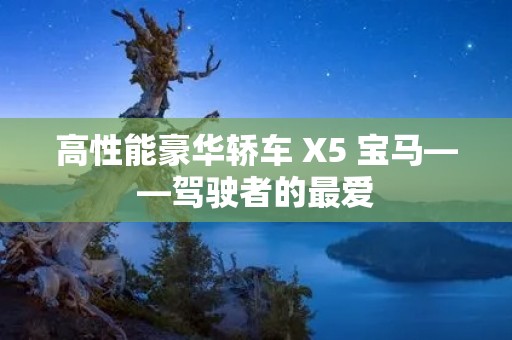 高性能豪华轿车 X5 宝马——驾驶者的最爱 高性能豪华轿车 X5 宝马——驾驶者的最爱
